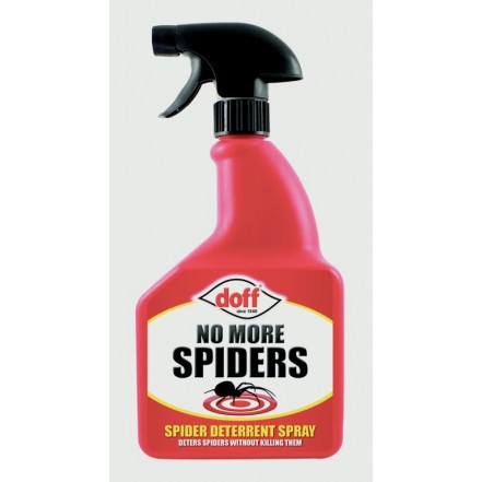 Doff No More Spiders