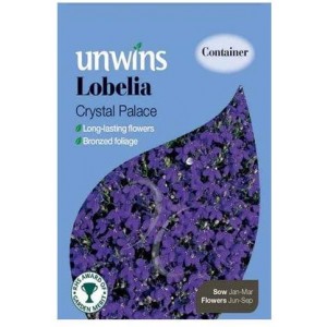 Unwins Lobelia Crystal Palace