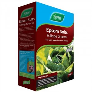 Westland Epsom Salts 1.5kg