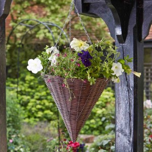 Smart Garden 14" Chestnut Hanging Cone