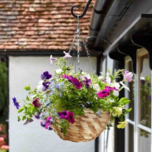 Smart Garden 14" Gilgil Hanging Basket