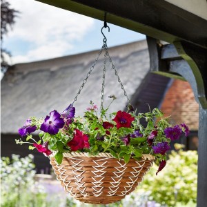 Smart Garden 14" Country Braid Hanging Basket