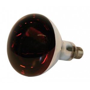 Eider Infrared Bulb 250 Watts E27