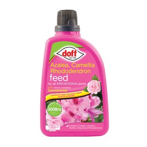 Doff Ericaceous Plant Feed - Concentrate