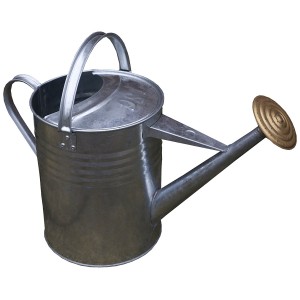 Apollo Watering Can