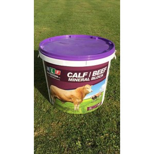 BLF Calf Beef Mineral BLK Purple LD