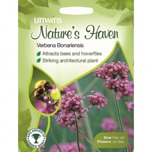 Unwins NH Verbena Bonariensis