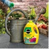 Miracle-Gro All Purpose 2.5LTR