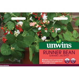 Unwins Runner Bean (Dwarf) Jackpot
