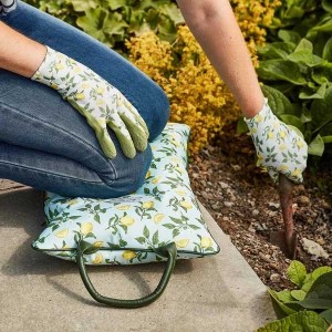 Smart Garden Sicilian Lemon Kneeler Pillow