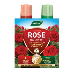 Westland Rose Feed & Protect 500ml