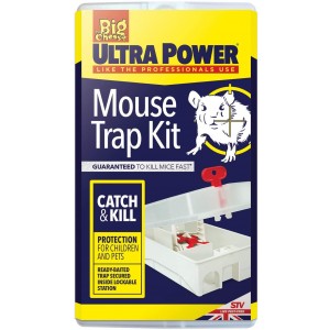 The Big Cheese Mouse Trap Kit