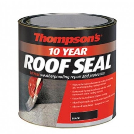 Thompson's 10 Year Roof Seal - Black