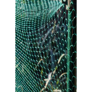 Ambassador Garden Net Green