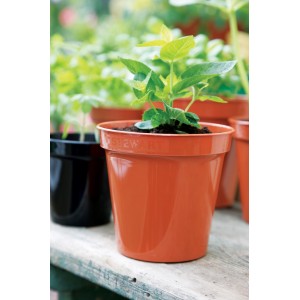 Stewart Flower Pot Terracotta Colour