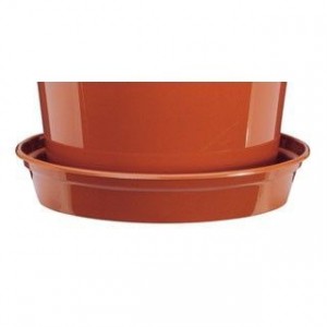 Stewart Flower Pot Saucer Terracotta Colour